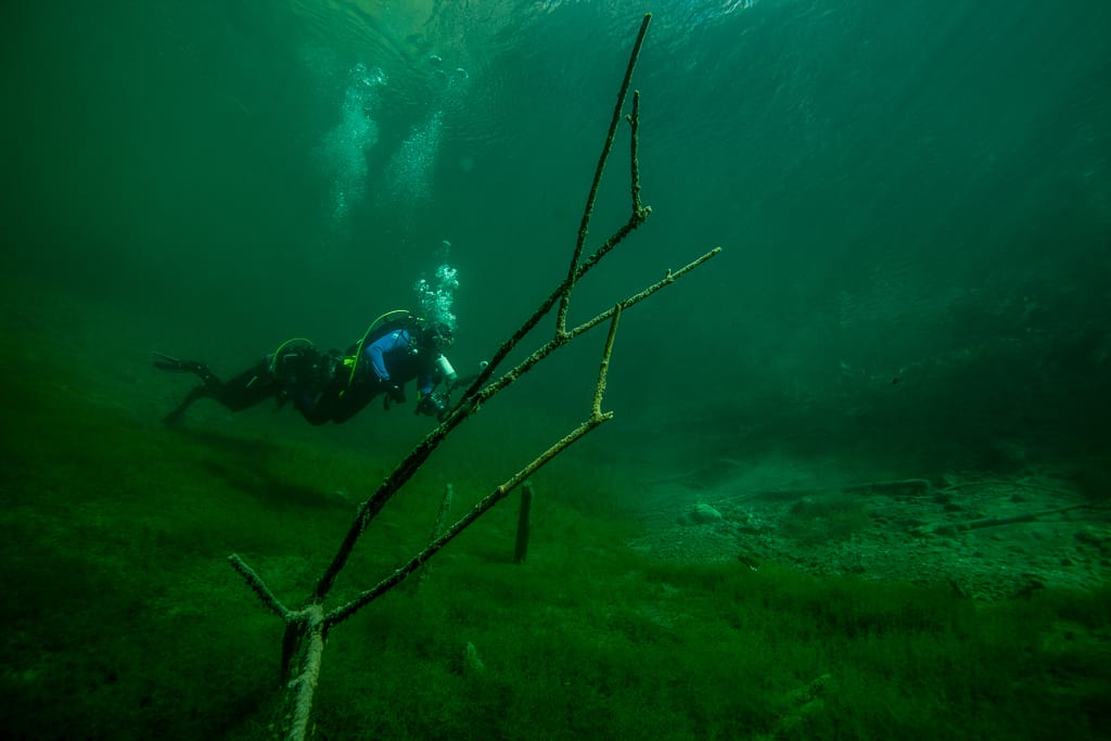 Ein Taucher über See-Boden im Fernsteinsee