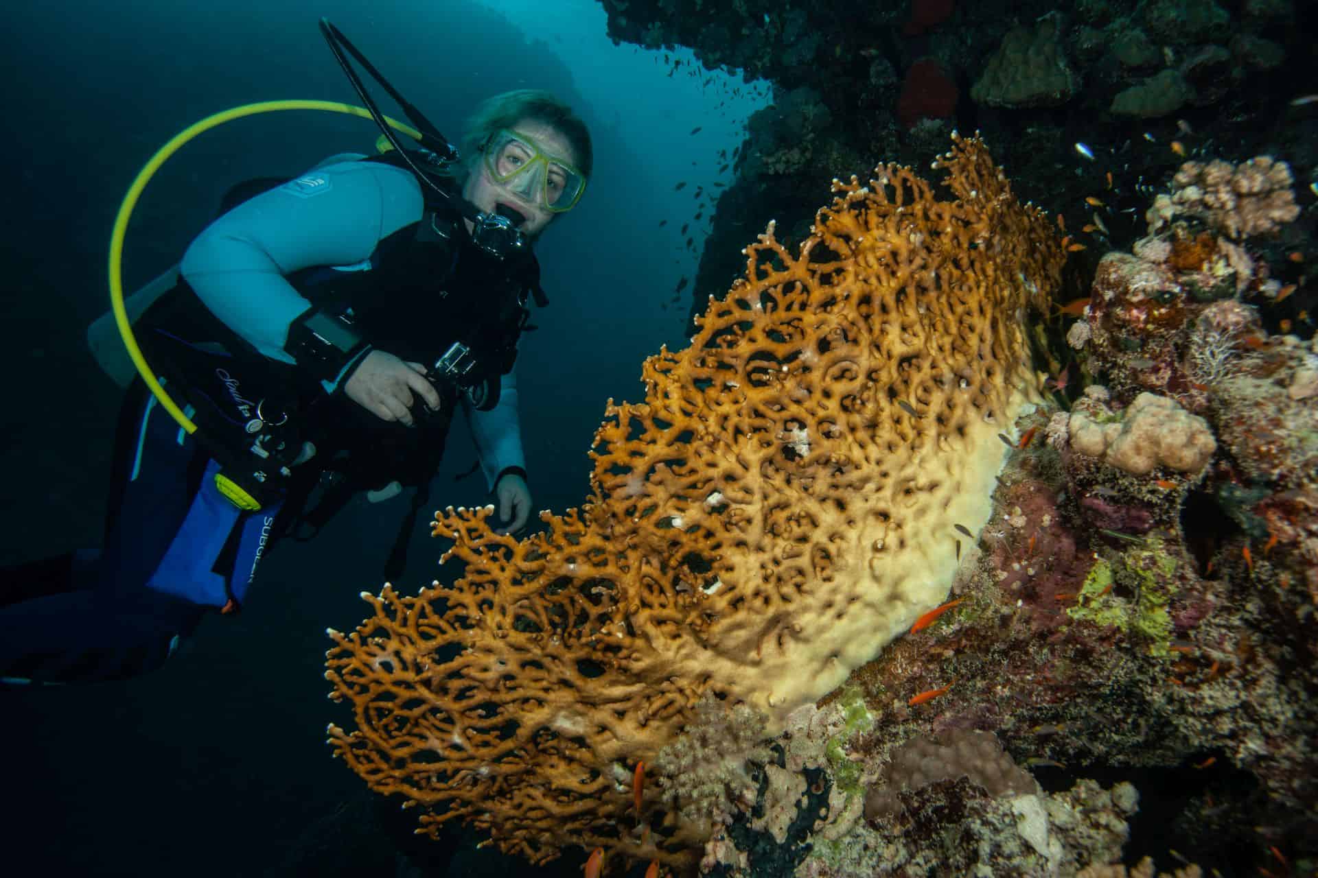 Taucherin bei Korallen in Ägypten 2017