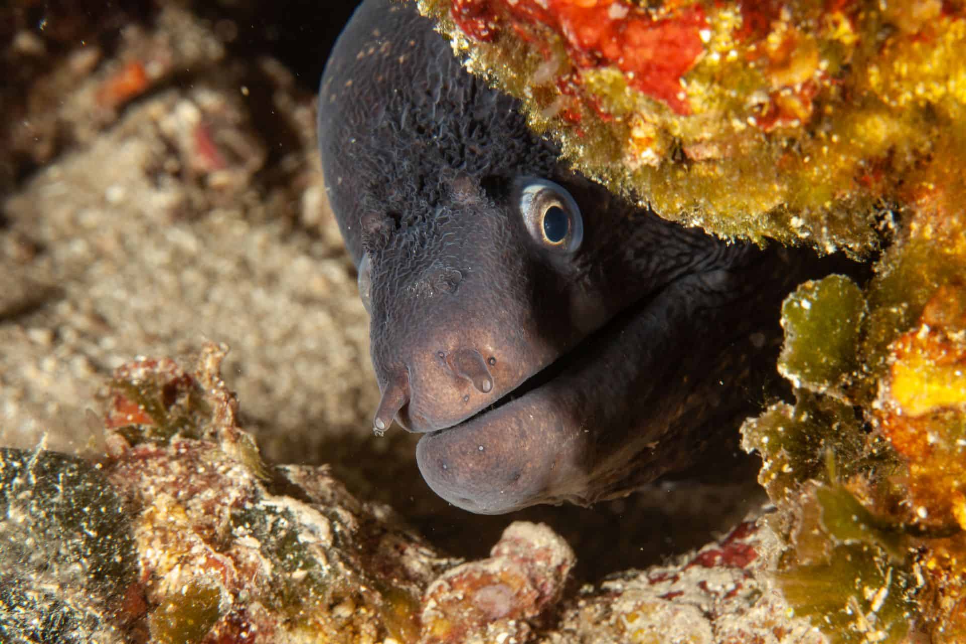 Moräne in Höhle Vranjak 2015